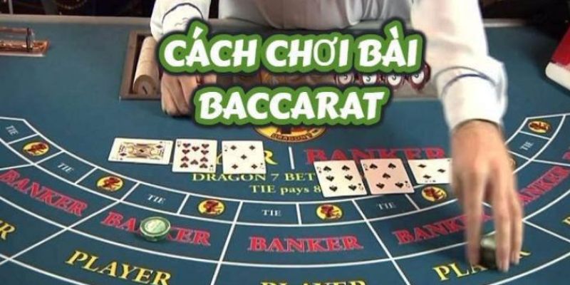 Các cách chơi baccarat dễ thắng cho tân thủ